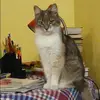 Отзыв от Клара Курочкина